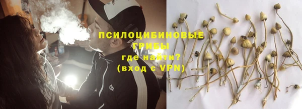Альфа ПВП Богданович