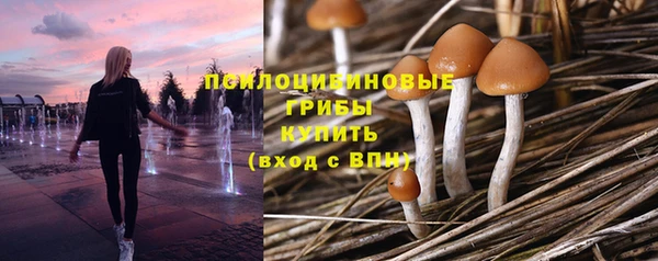 mdpv Богородицк