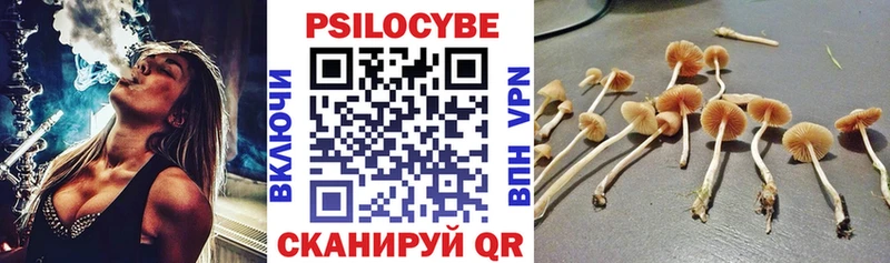 наркотики Берёзовский Галлюциногенные грибы Psilocybine cubensis